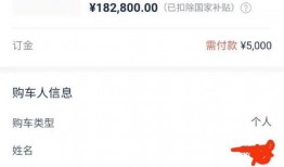 今日汽车订单爆料,热门车型抢购热潮席卷而来